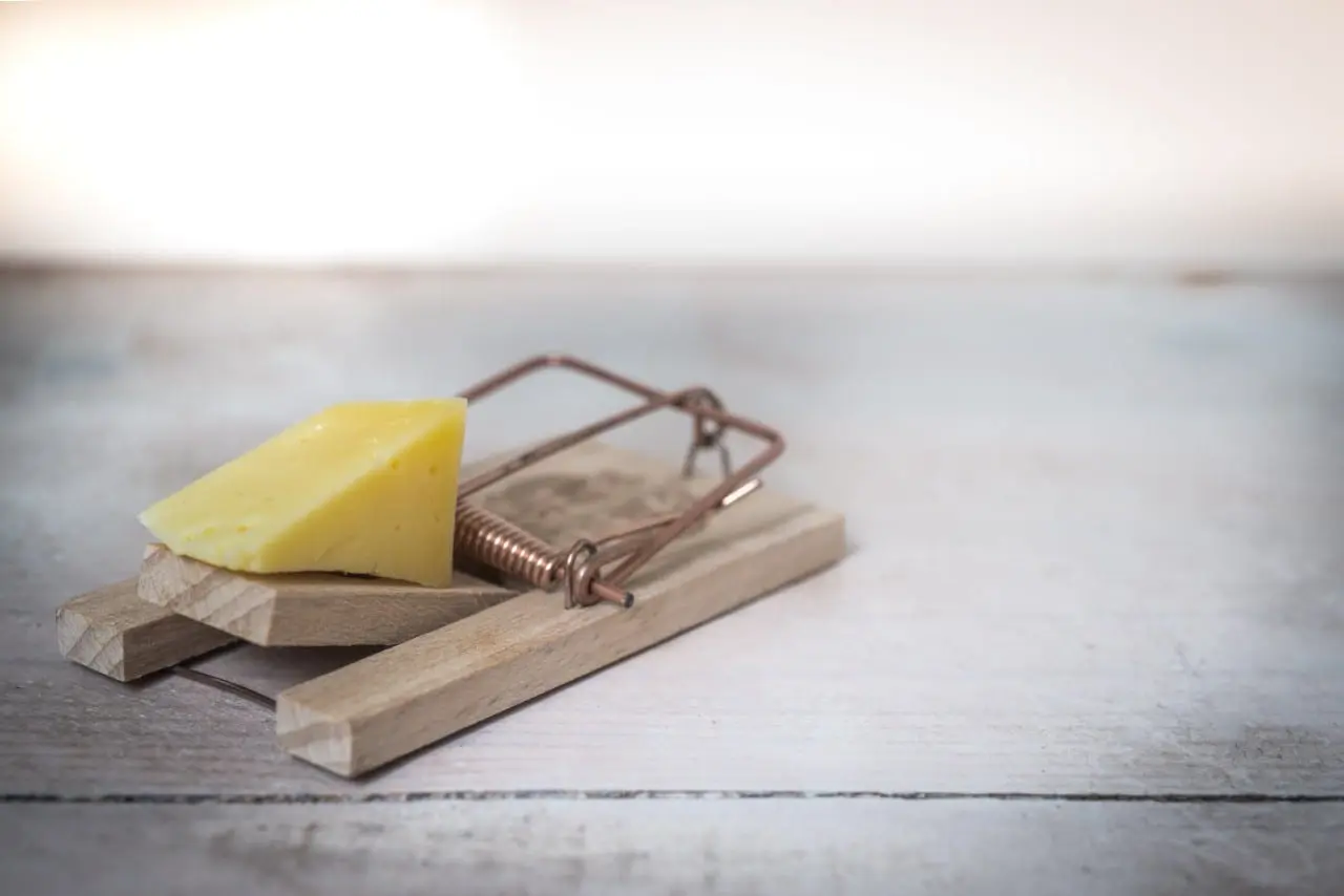 I. Vėgėlė mokesčių reformoje įžvelgia paslėptus spąstus