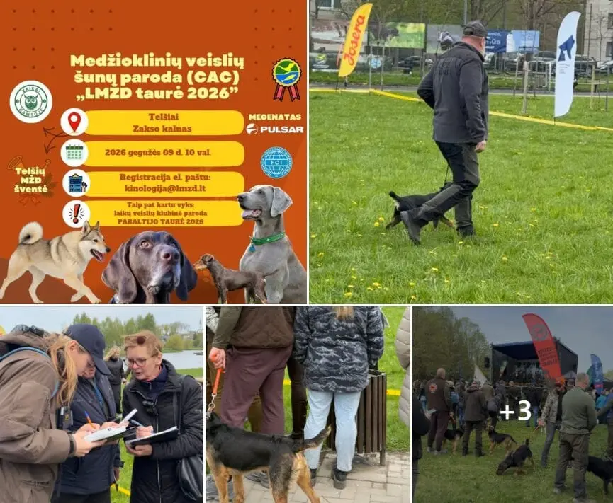 „Negalėjau patikėti tuo, ką pamačiau“: po šventės Telšiuose – šokas dėl „edukacijos“
