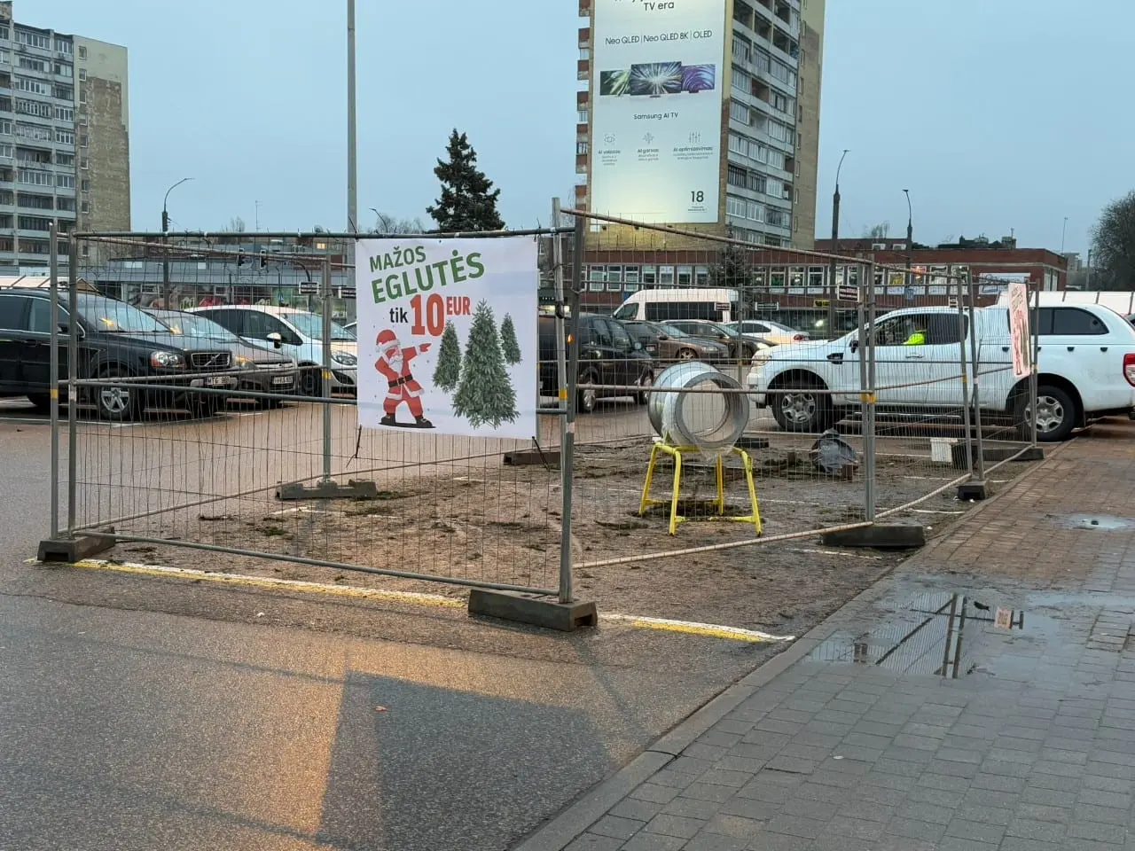Miškininkai pataria: kaip po švenčių elgtis su kalėdiniu medeliu?
