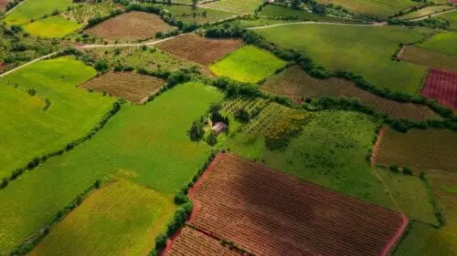 Koreguojami žemės mokesčio tarifai: kiek kitąmet reikės susimokėti?