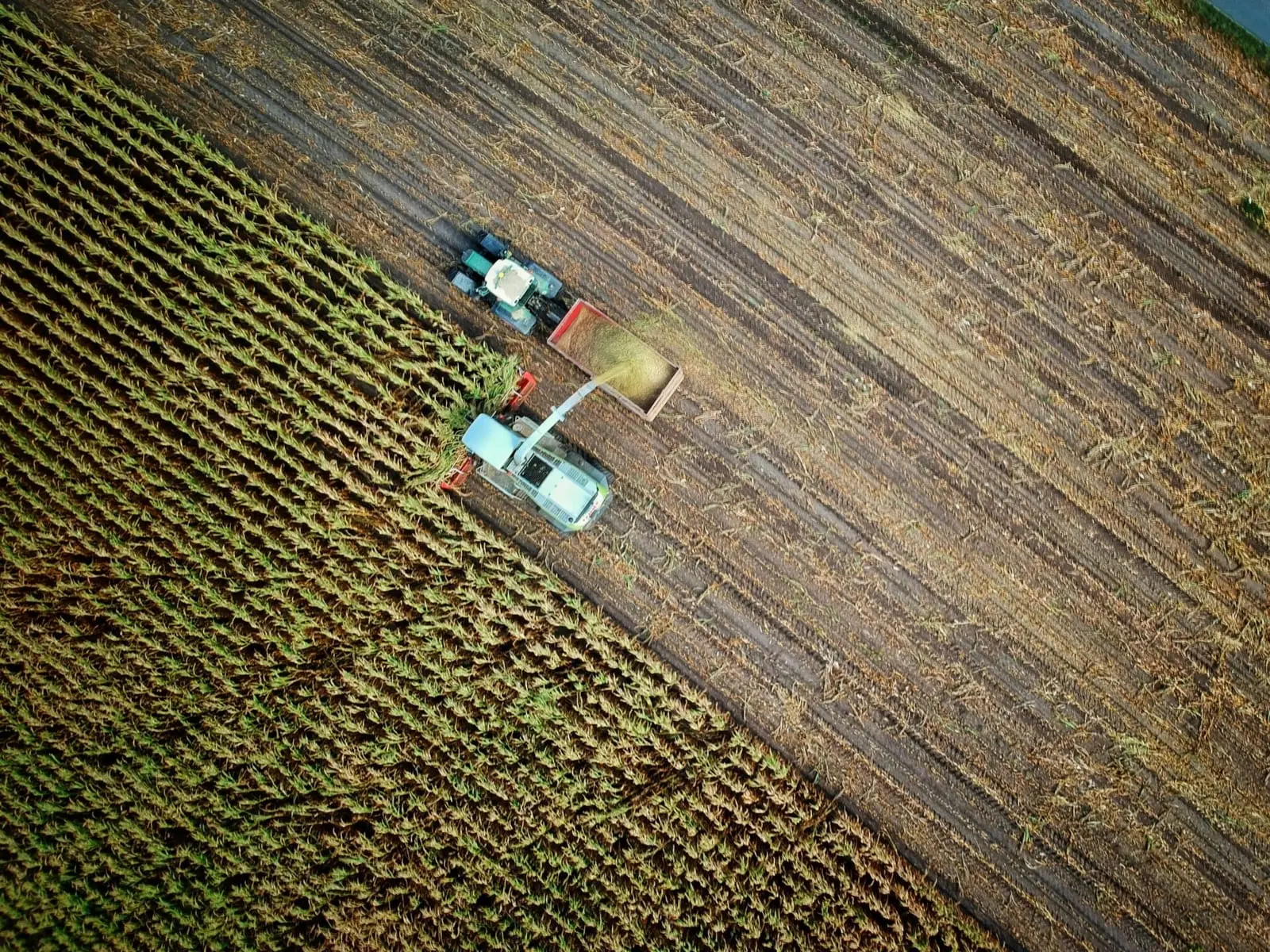Po 25 metų atšauktas „Roundup“ saugumo tyrimas: atskleistas Monsanto vaidmuo