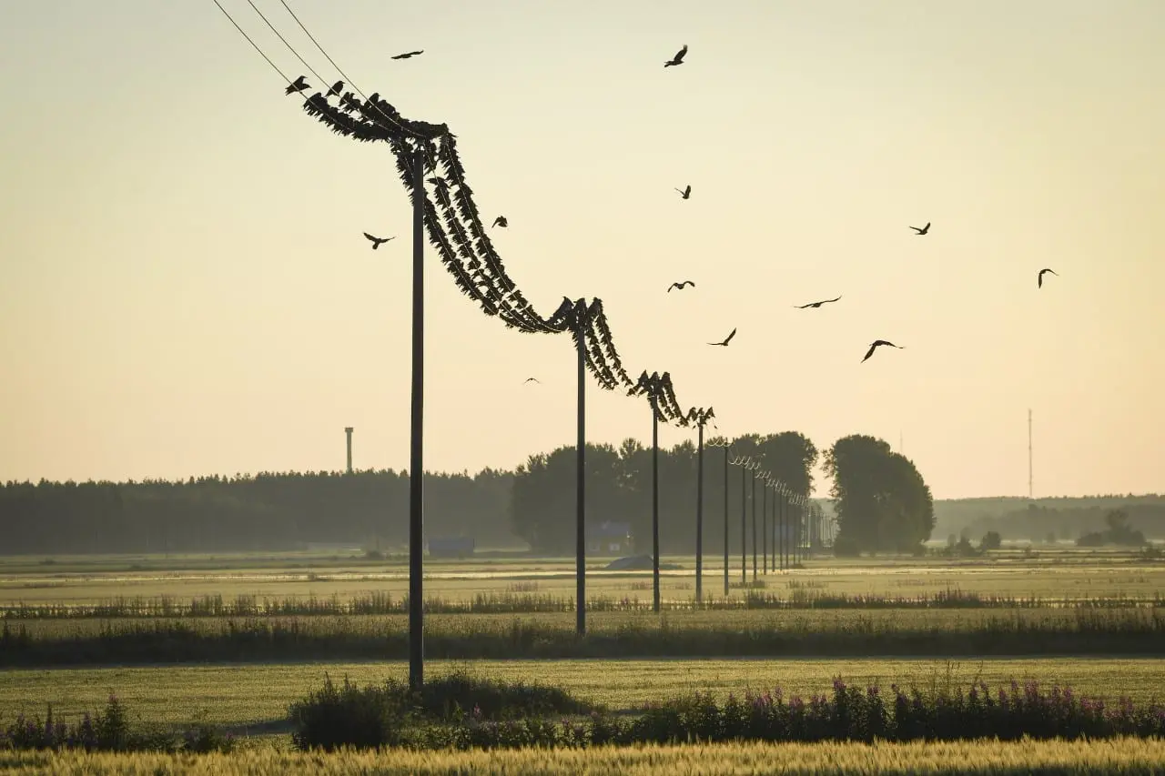 Magnetinės audros gali išjungti elektrines