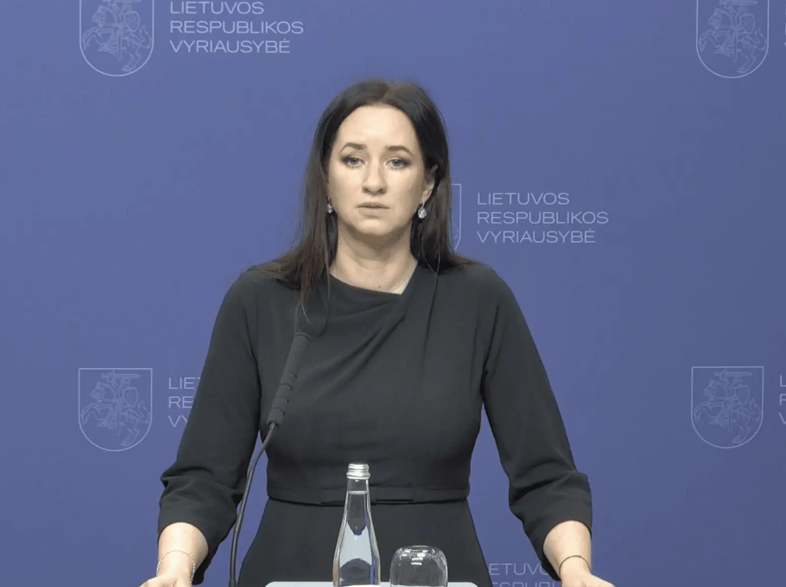 I. Ruginienė apie Lietuvos saugumo iššūkius: norėtume, kad gynybą galėtume nusipirkti kaip pieną ir duoną
