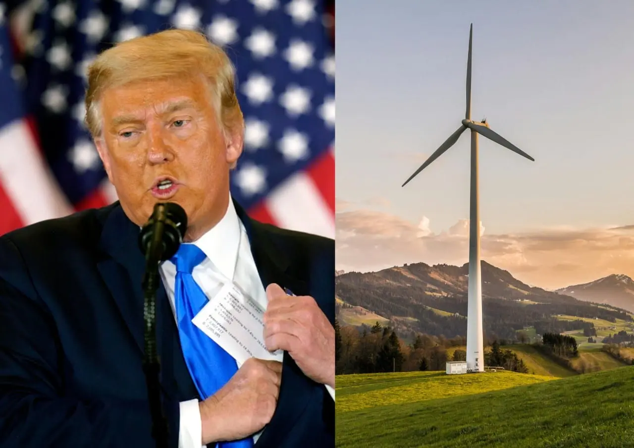 D. Trumpas priešinasi vėjo jėgainių pramonei JAV: žada draudimus