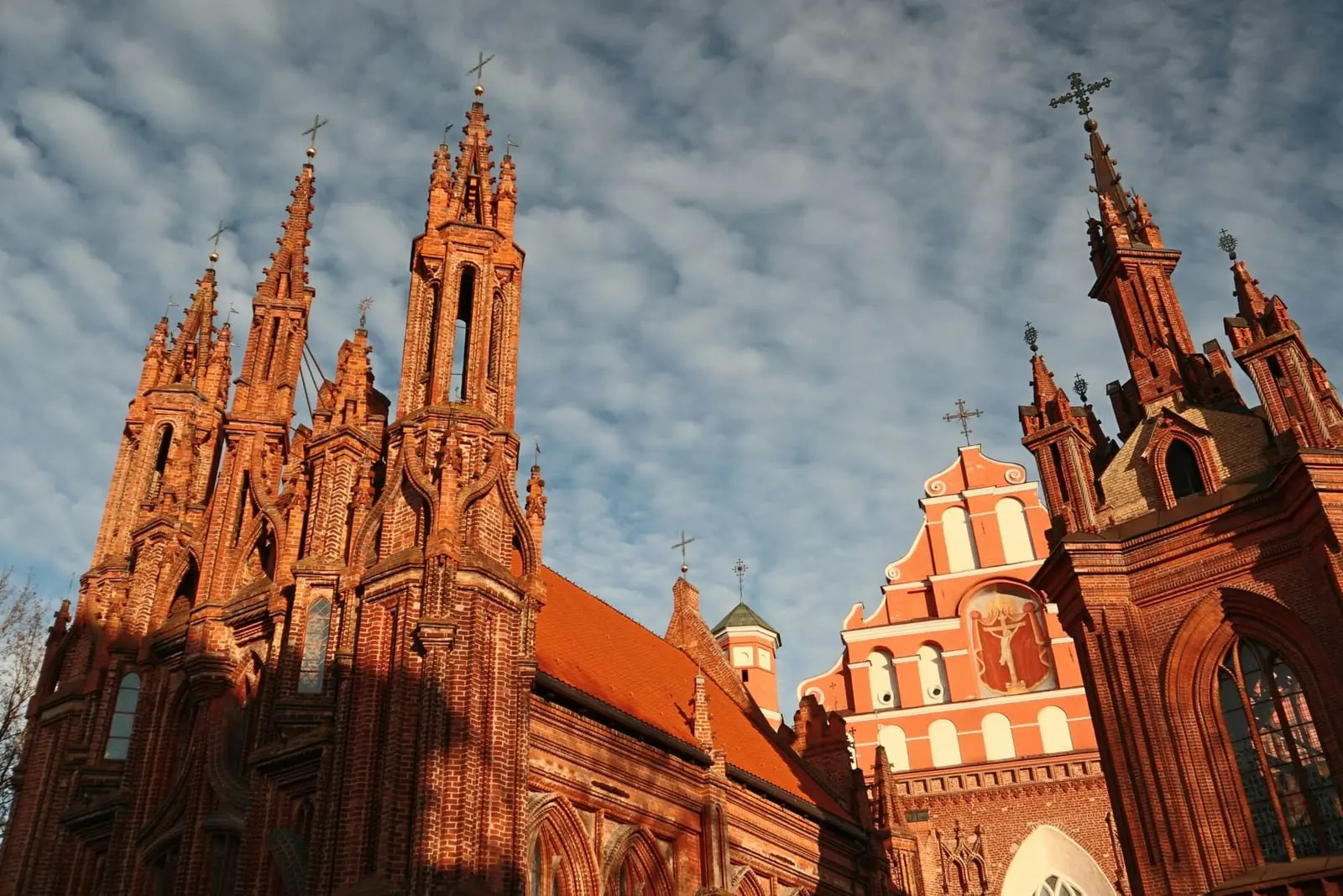 Vilniuje prie Šv. Onos skvere kertamų medžių kilo sujudimas: į vietą rinkosi gyventojai