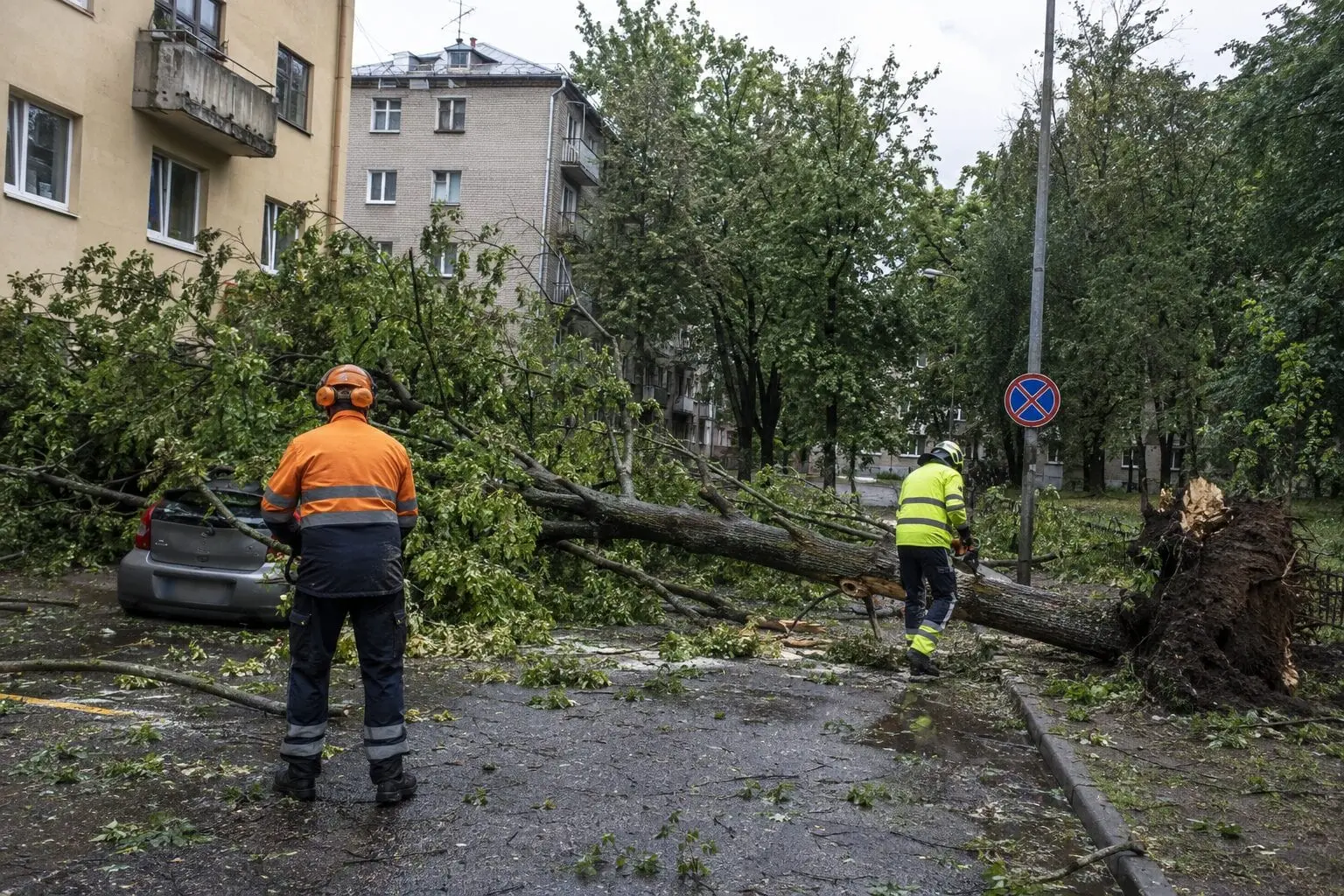 Lietuvą nusiaubė audra: žuvo žmogus, be elektros buvo likę 268 tūkst. gyventojų