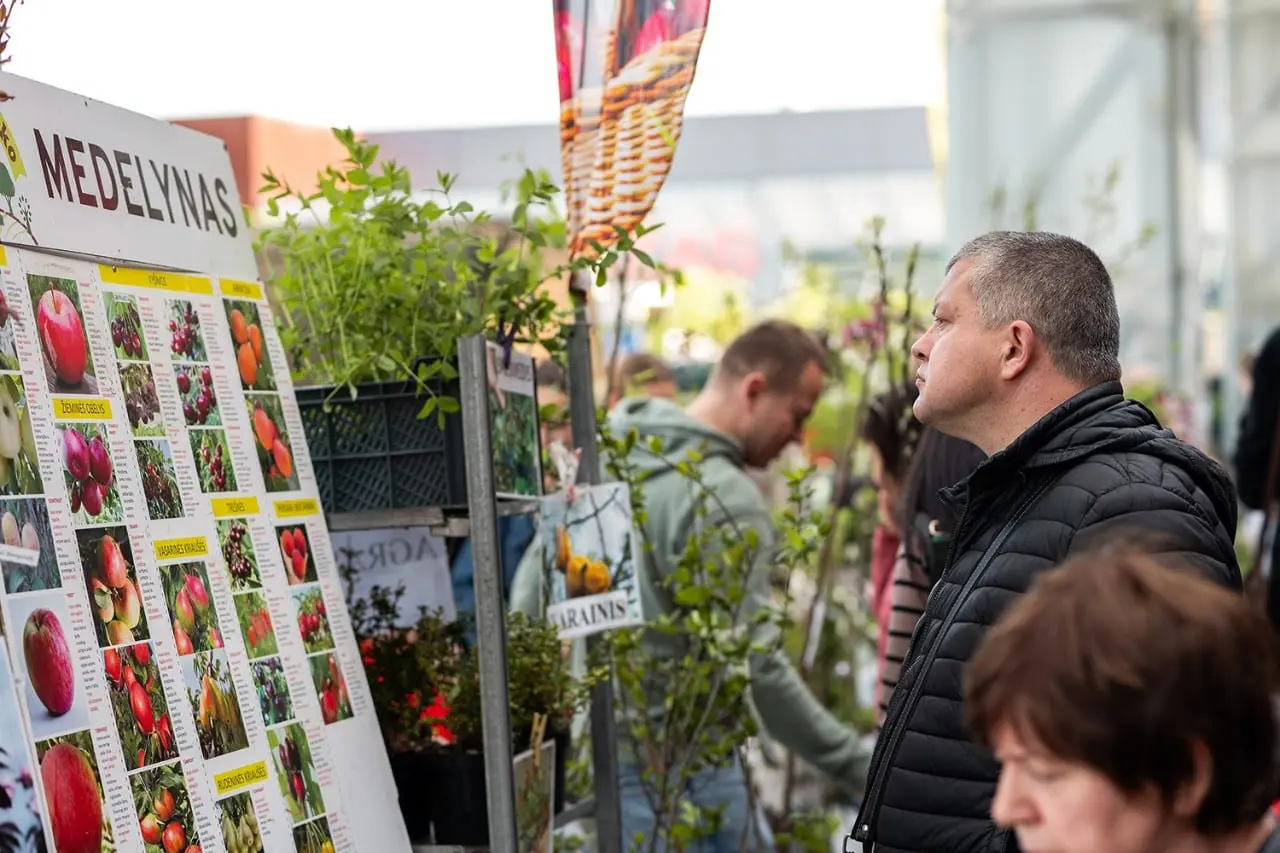 Augalų entuziastai bursis Didžiojoje sodinukų mugėje – Šiauliuose, Klaipėdoje ir Vilniuje