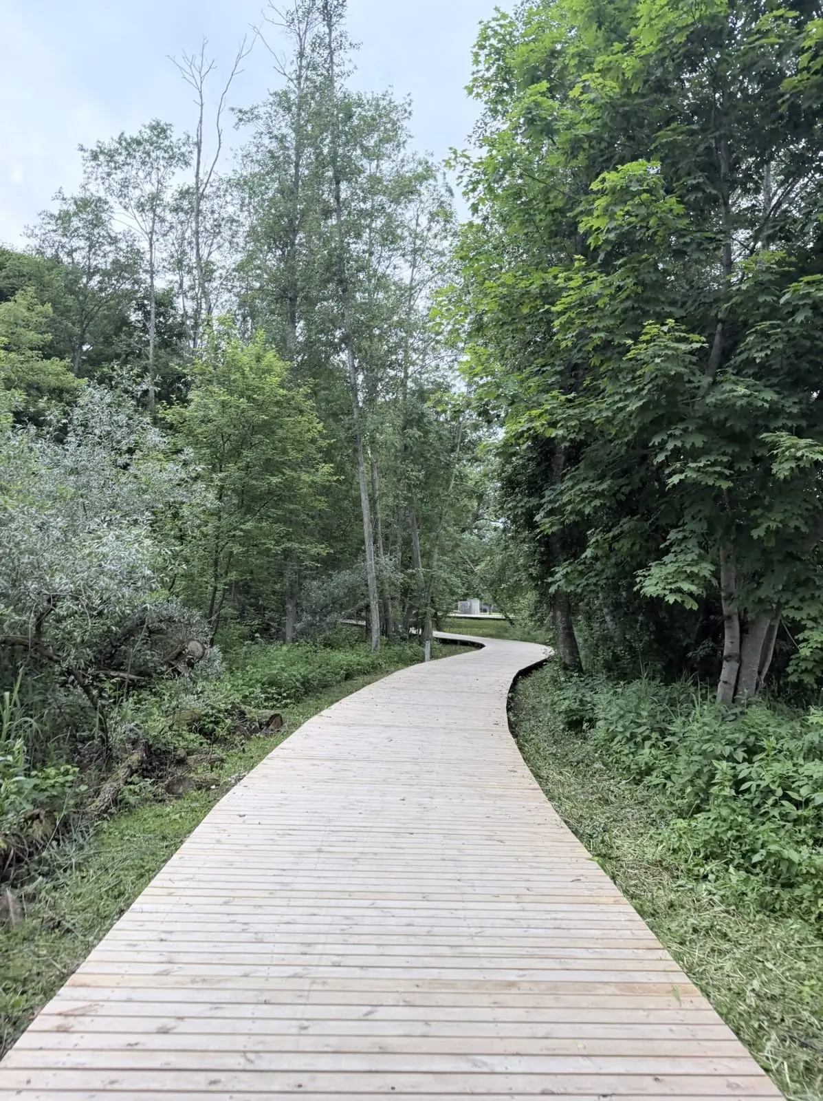 Anykščiai ruošiasi ypatingai rudens nakčiai: laukia ugnis, šviesos ir baidarių žygis tamsoje