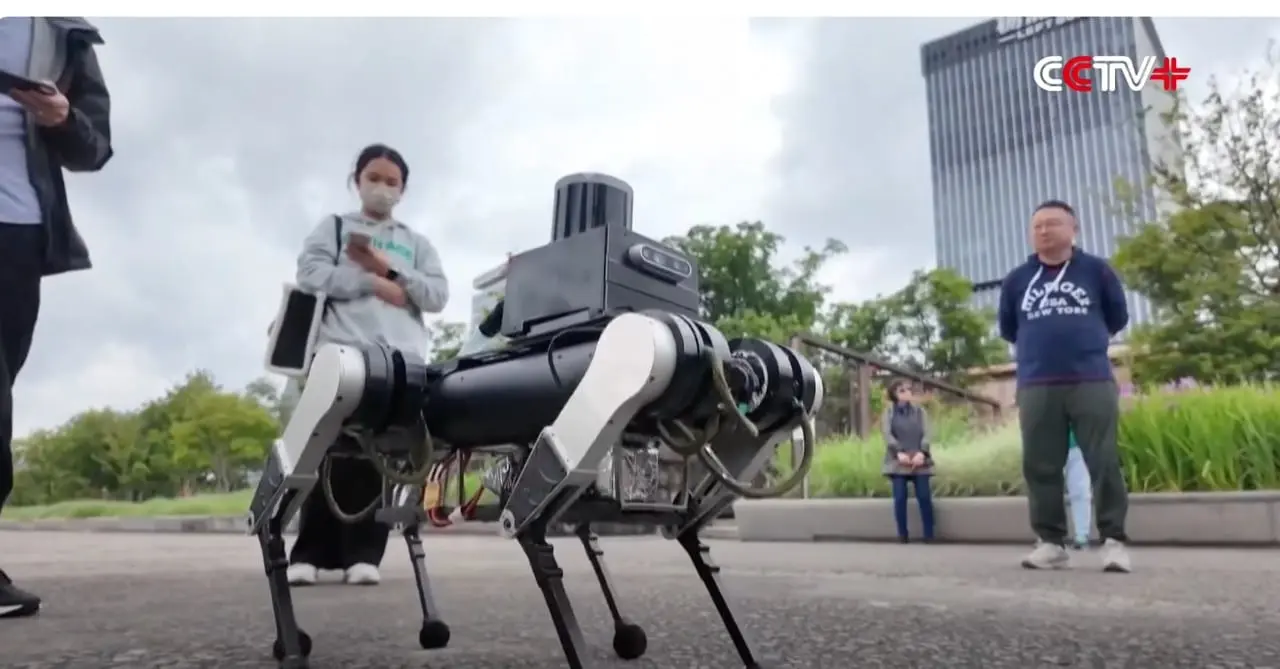 Kinijos robotai virsta šunimis-vedliais: silpnaregiams bus gyventi geriau?