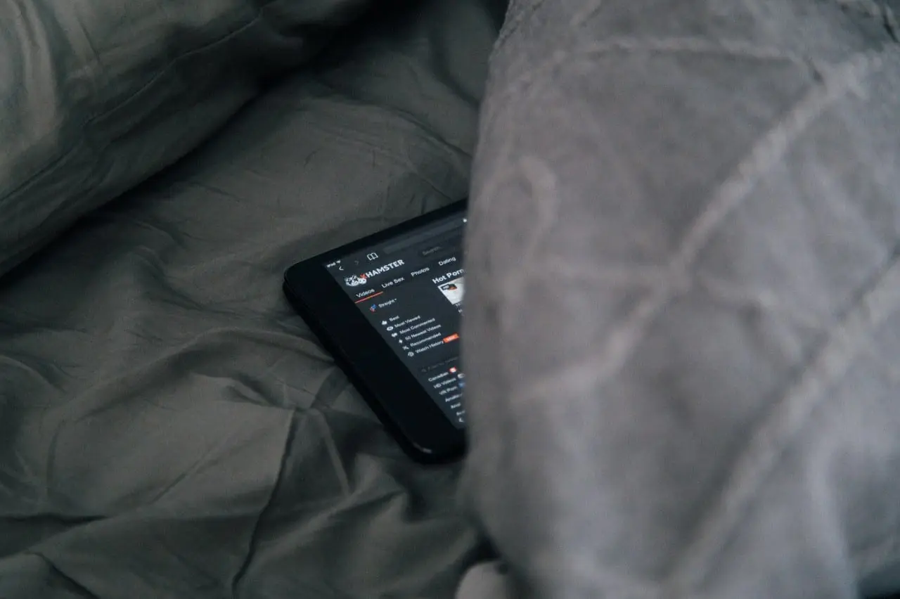 Valstijos keičia kryptį: koreguos įstatymus dėl ginklų ir pornografijos