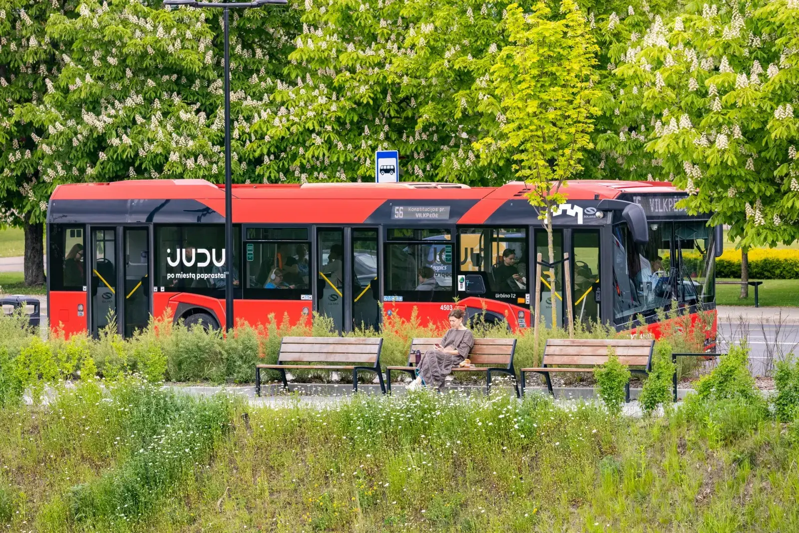 Pakilus PVM, brangsta kelionės viešuoju transportu
