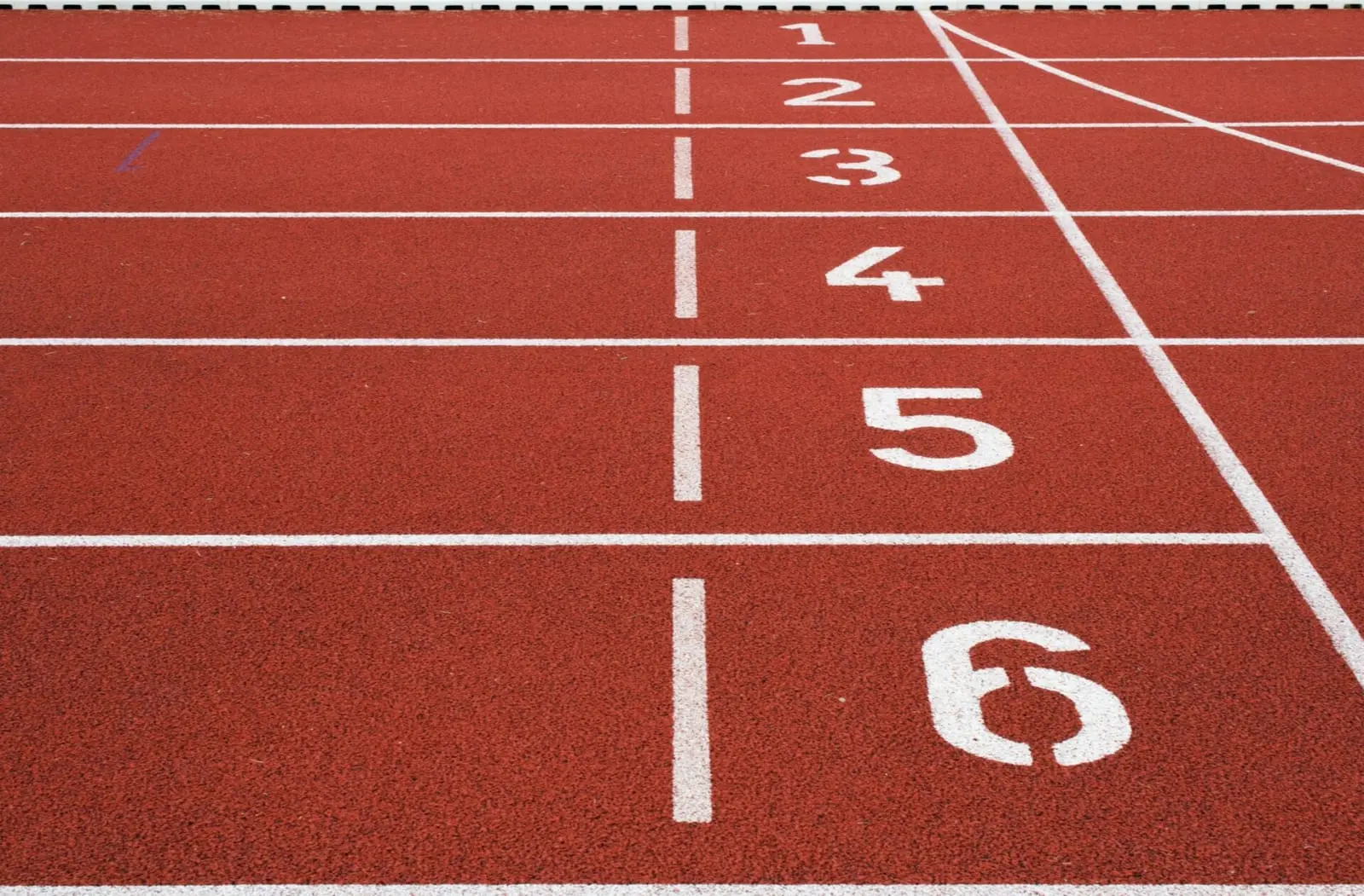 Lietuvos sporto universiteto garbės daktaro vardas suteiktas A. Saboniui ir V. Makūnui
