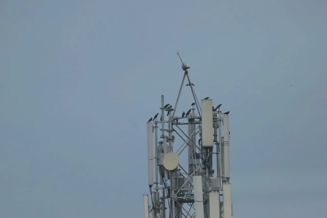 5G kelia rimtą pavojų net ir „Starlink“