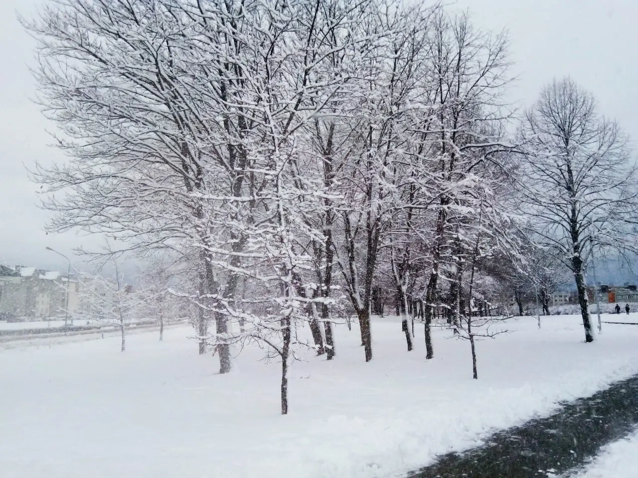 Mokestis už sniegą ir lietų – laukia „Čipolino“ scenarijus?