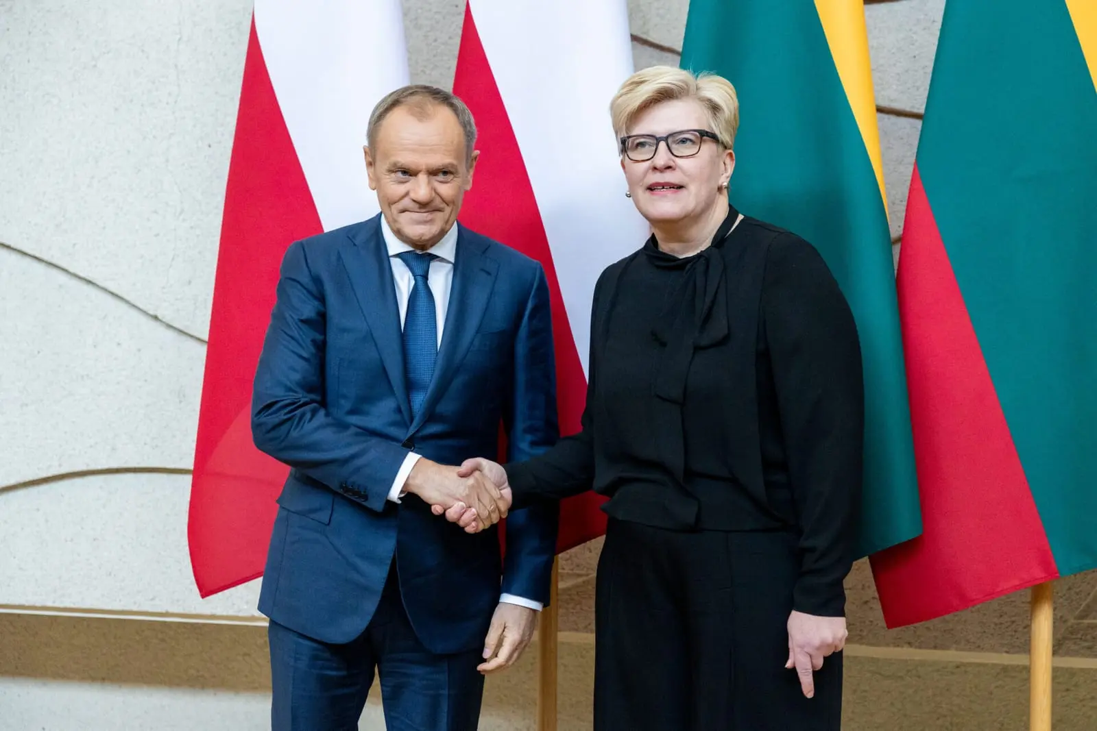 Savaitės įvykių apžvalga: Lietuva iš lėto ruošiama karui?
