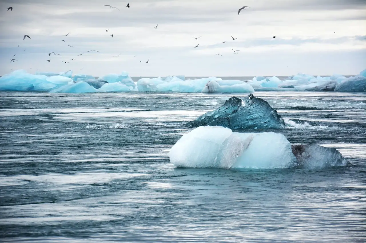 Klimato krizė – mitas ar tikrovė? Per tūkstantį ekspertų pareiškė, kad jokios katastrofos nėra