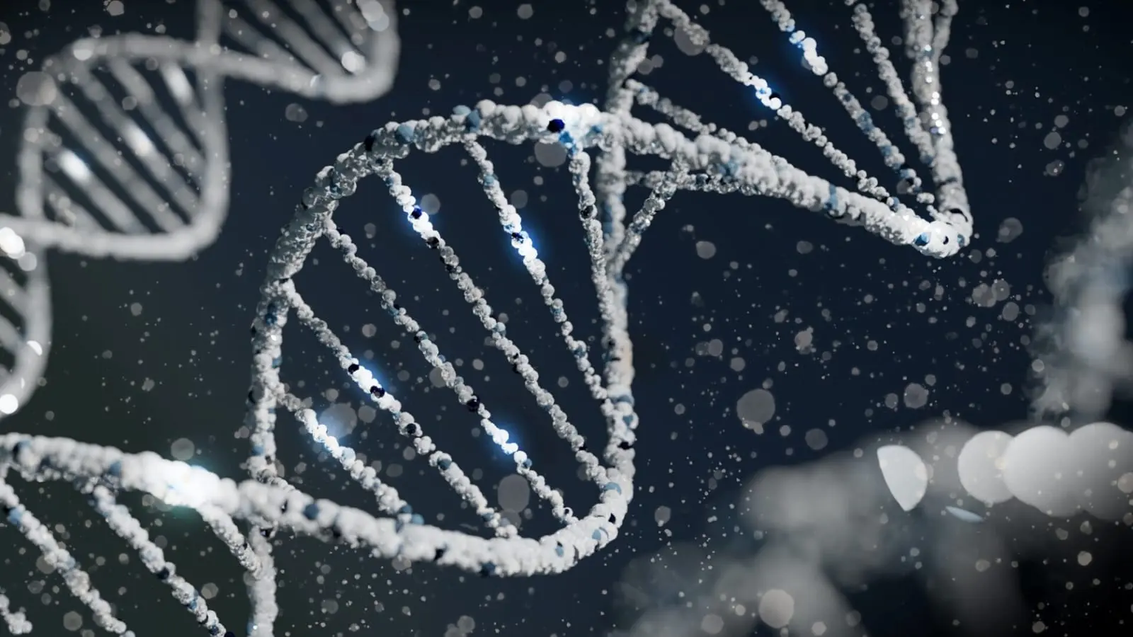 Tarptautinio genomo redagavimo forume dėmesys CRISPR technologijai: kas turi teisę redaguoti žmogų?