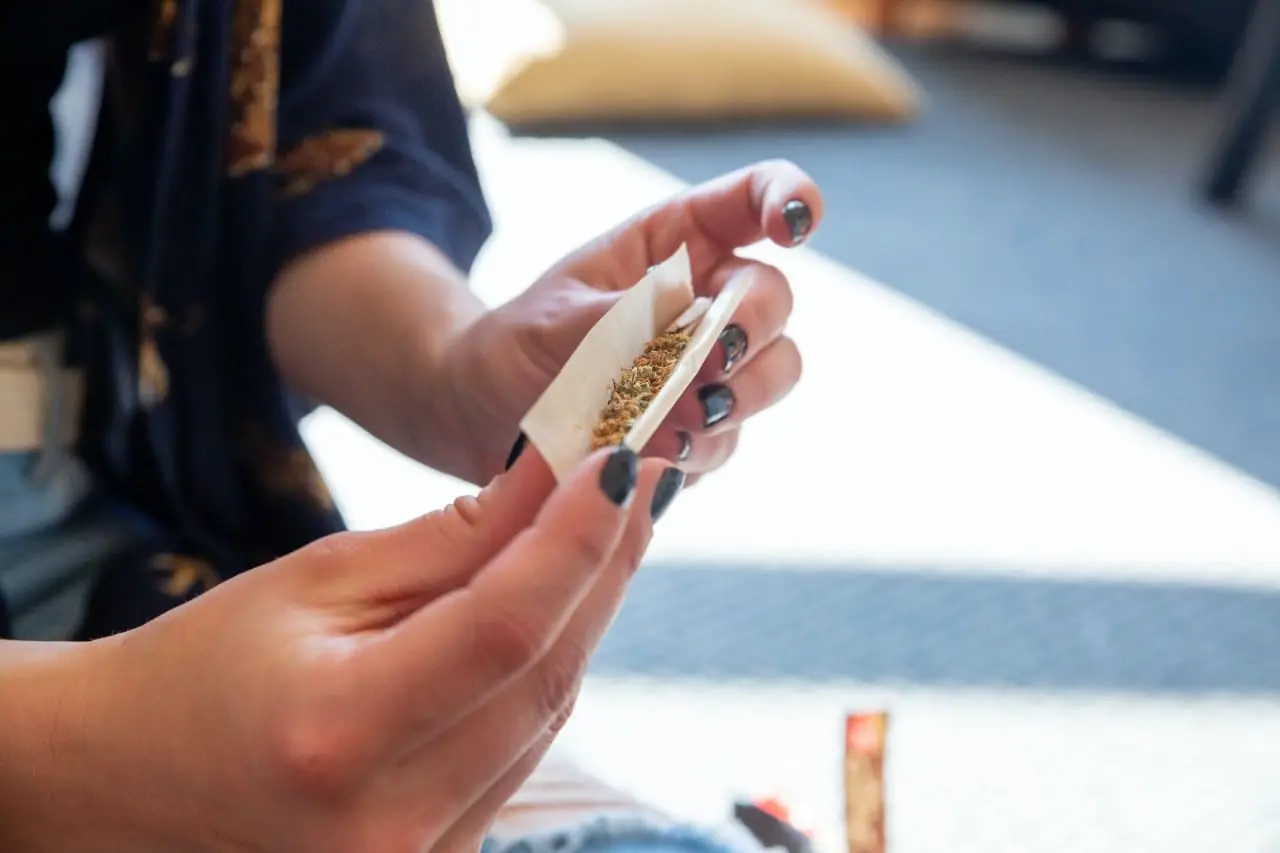 V. Mitalas dėl kanapių legalizavimo griebėsi net tikrovės neatitinkančių teiginių?