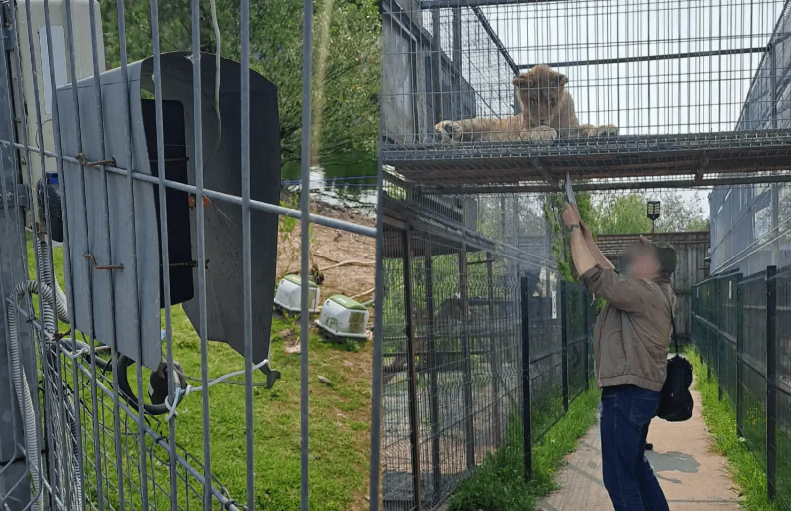 Laikinai uždarytas Klaipėdos zoologijos sodas: fiksuojami sisteminiai pažeidimai