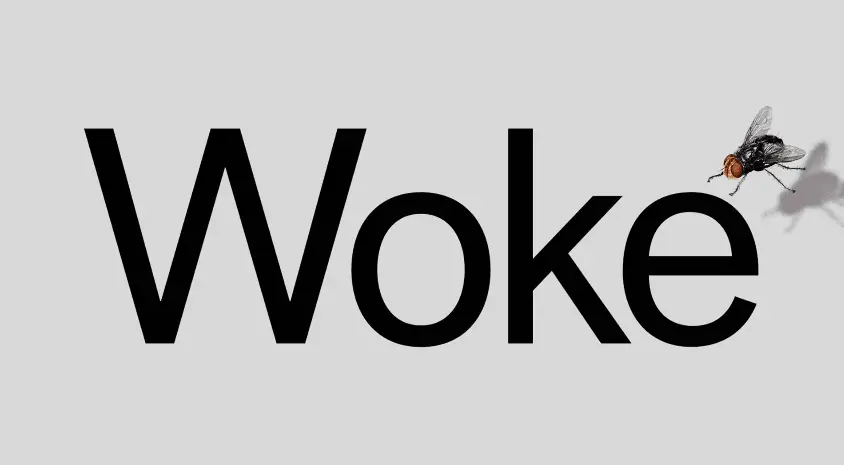 „Woke“ kultūra arba mėšlas mūsų smegenims