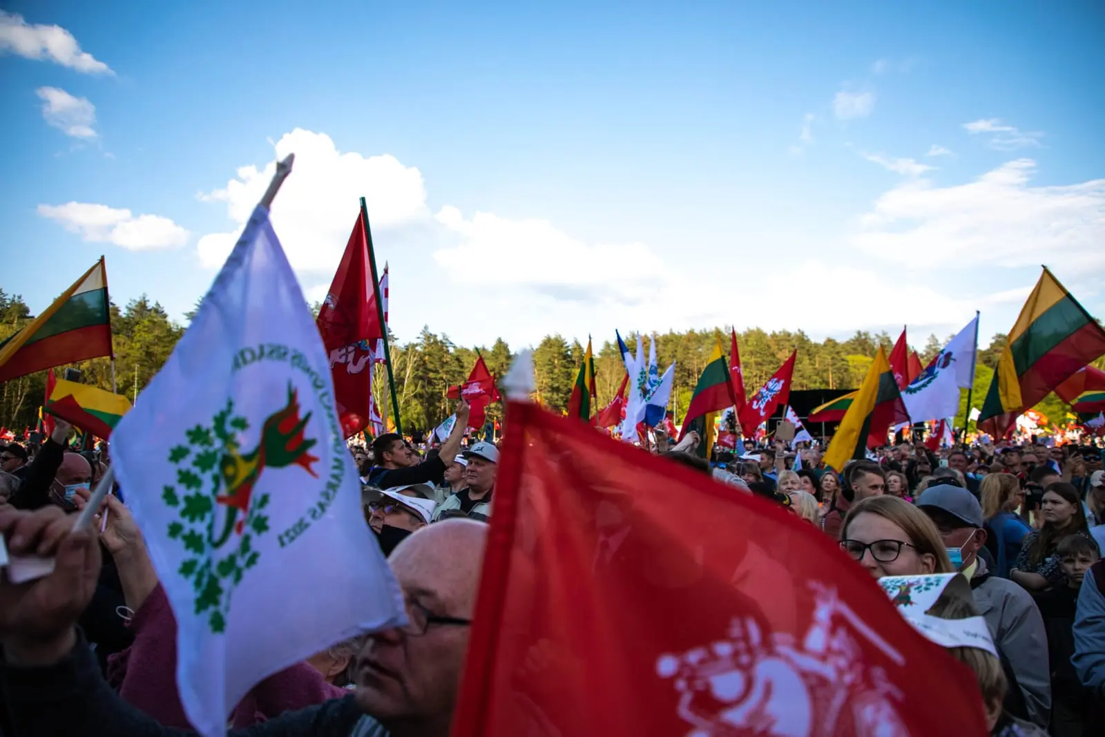 Taikus protestas už tradicines vertybes Didžiajame šeimų gynimo marše. Papildyta 2021-06-09