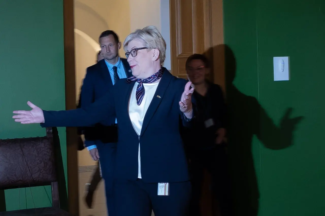 Partijų lyderiai, politologai apie I. Šimonytės sutriuškinimą: į kitus rinkimus konservatoriai eis su minusu