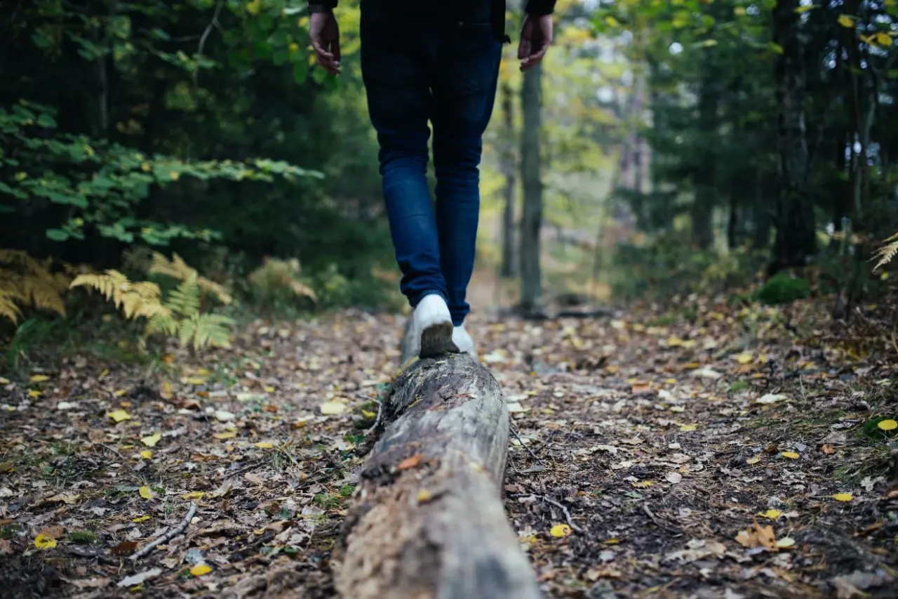 Kada darbdavys privalo tenkinti darbuotojo prašymą suteikti kasmetines atostogas?