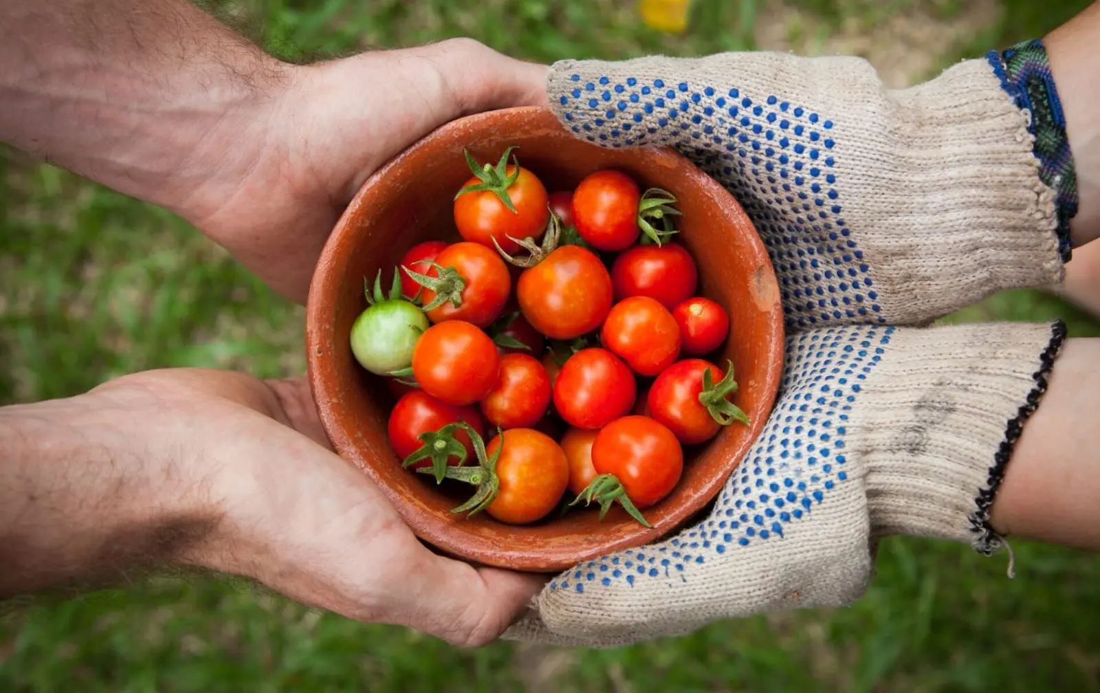 „Metų ūkio“ rinkimai nutrūko po 27 metų – neranda dalyvių