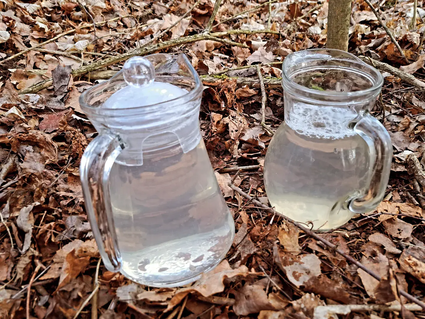 Besiruošiantiems tekinti sulą – miškininkai primena svarbiausias taisykles