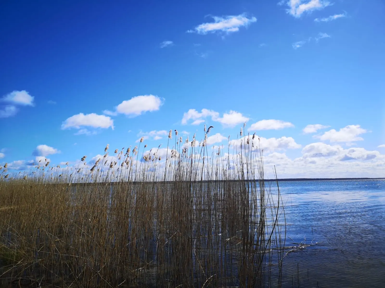 Ką nuveikti, jei atostogaujate Juodkrantėje?