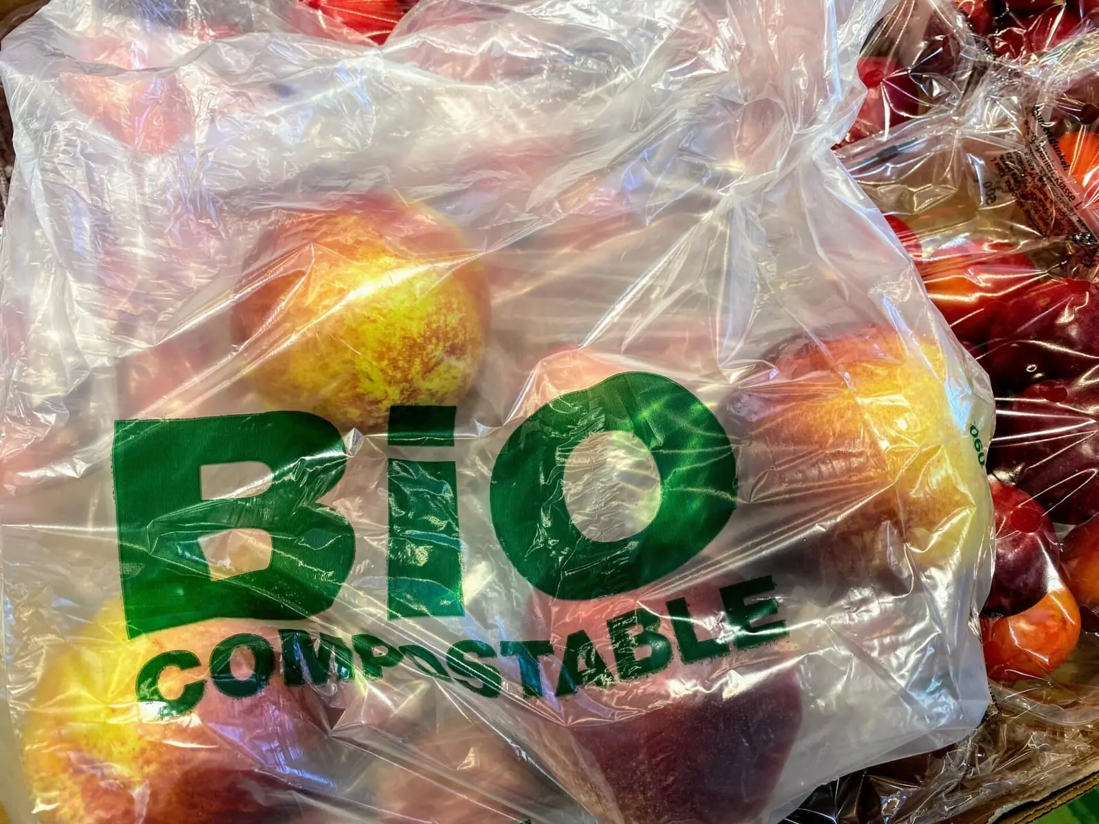 Neįsivaizduojate kuo keisime aplinką teršiantį plastiką? Susipažinkite su bioplastiku