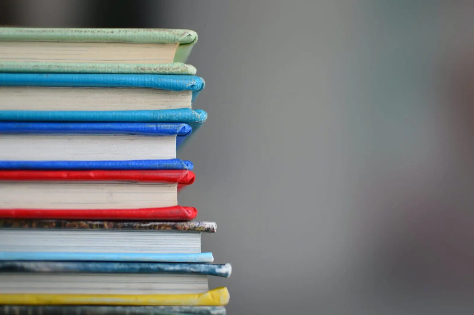 Politikus, pedagogus ir ekspertus į skirtingas barikadų puses suskaldė skandalas dėl rusų kalbos vadovėlių