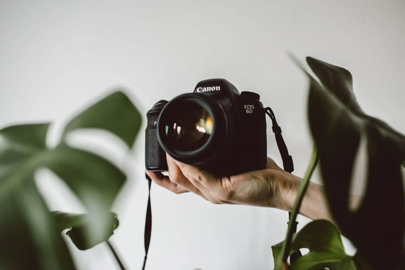 Para-atletas Danas Sodaitis: fotografija atvėrė naujas galimybes