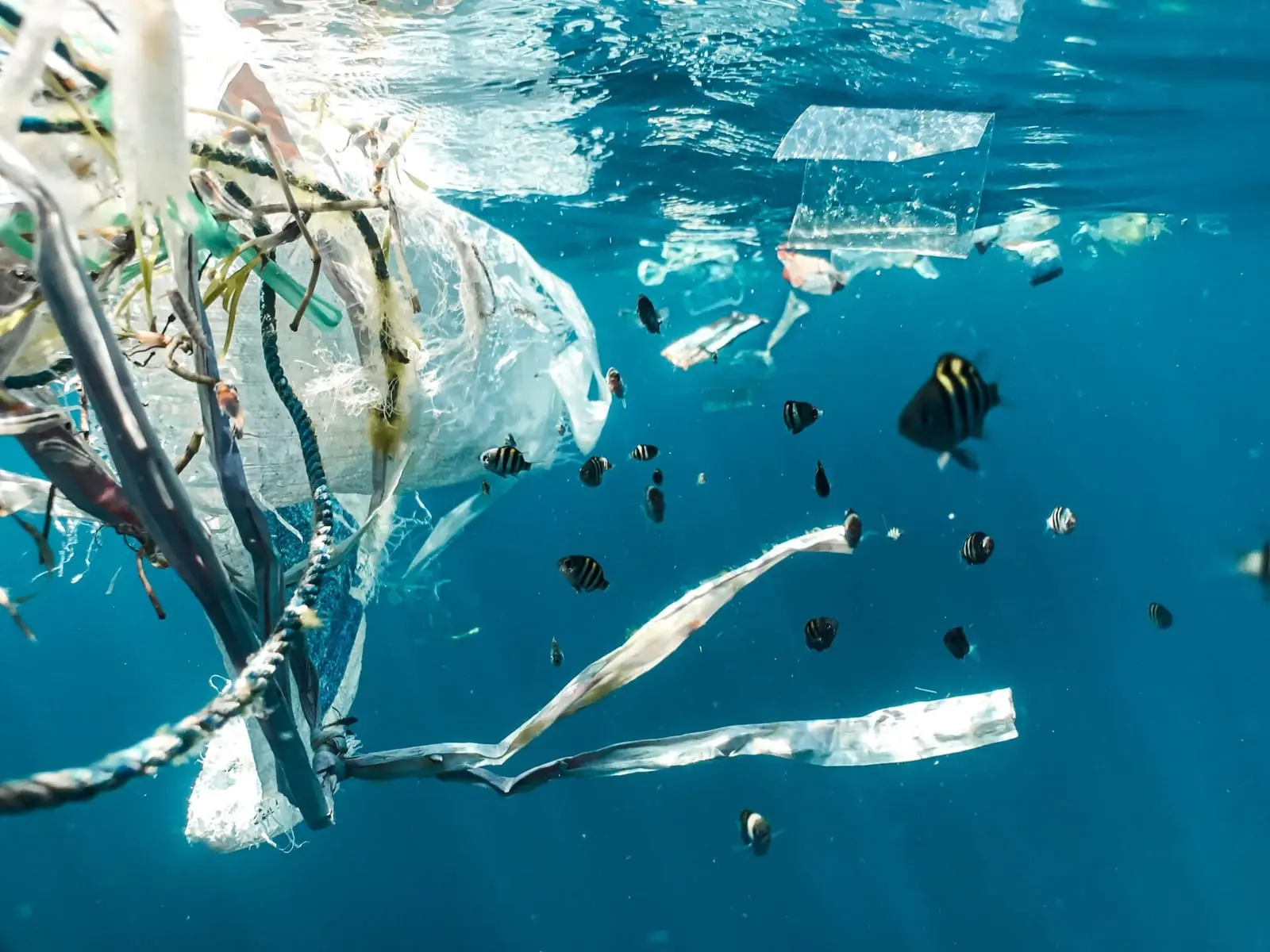 Plastiko šiukšlių žemėlapis atskleidžia labiausiai užterštas pasaulio vietoves