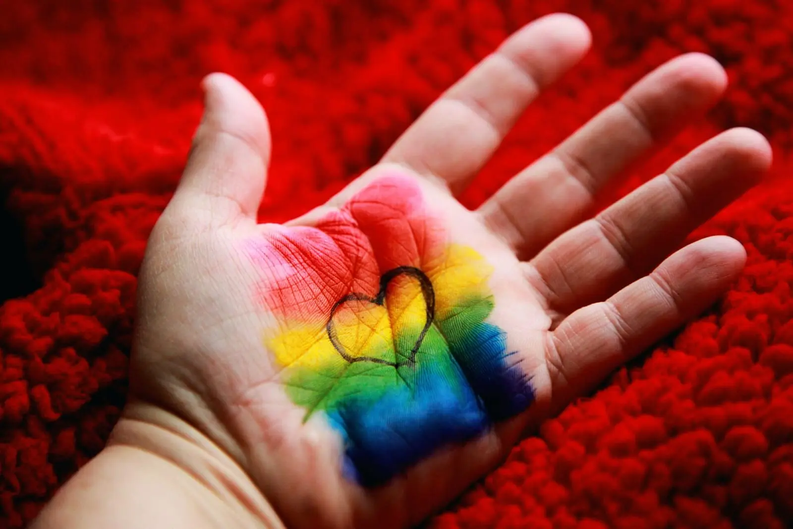 Ikimokyklinukus mokė atskirti spalvas su LGBT kortelėmis, kuriose vaizduojamas ir nėščias vyras