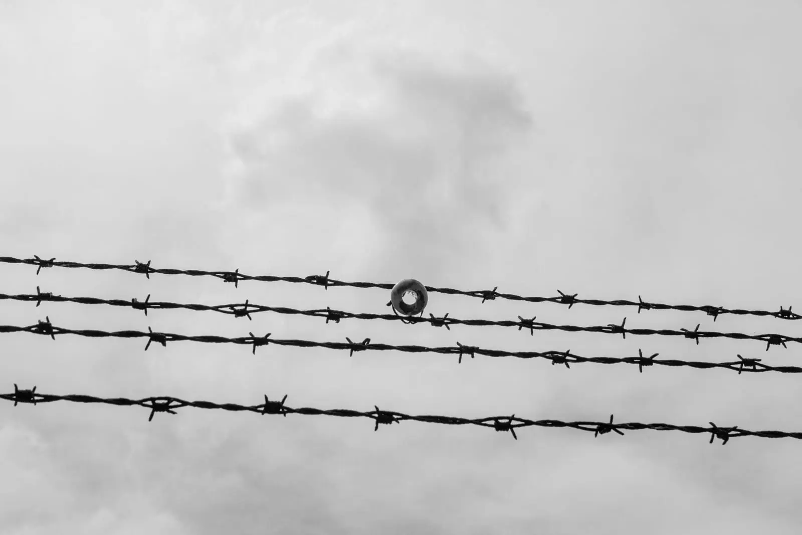 Nutylėta istorija: milijonai japonų buvo uždaryti JAV izoliuotuose stovyklose