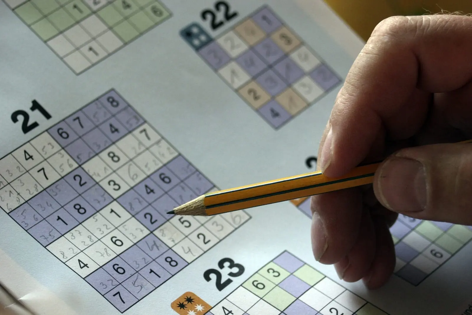 Nuo vėžio mirė 69 m. sulaukęs sudoku išradėjas Maki Kaji