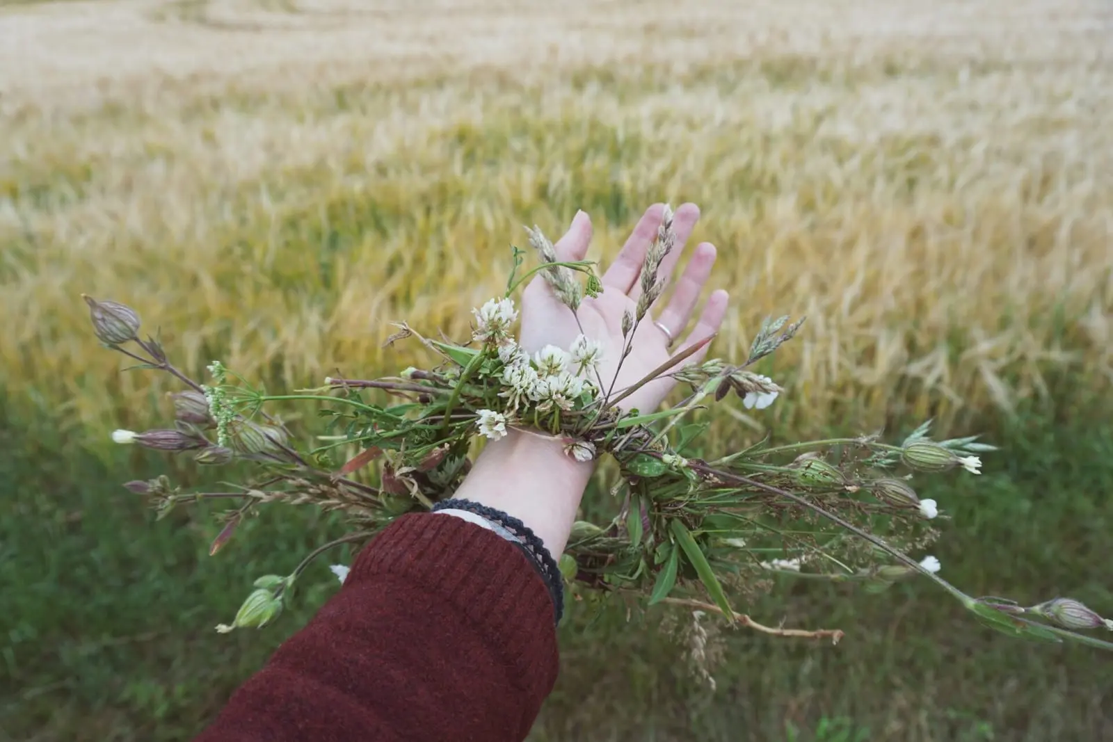 Istorinės baltų religinės bendruomenės valdžia pripažinti nenori: „Romuvos“ klausimą vėl svarstys Seime
