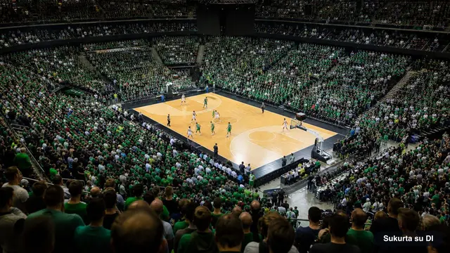 Pilna krepšinio arena per Eurolygos rungtynes
