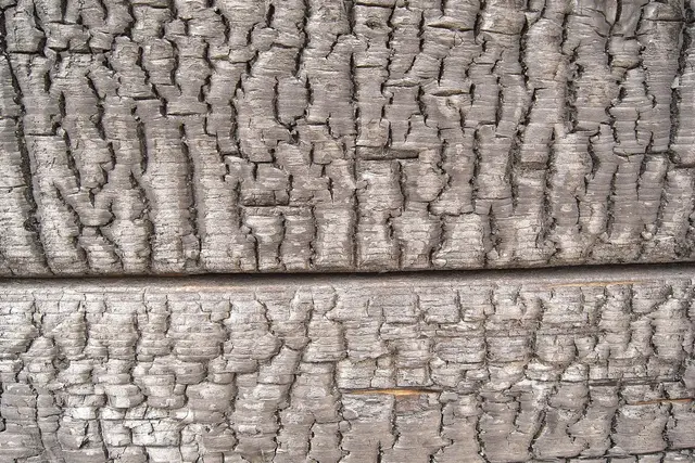 Deginta mediena (shou sugi ban, yakisugi): fasadas, savybės, kaip pasidaryti ir kuo skiriasi nuo termo medienos