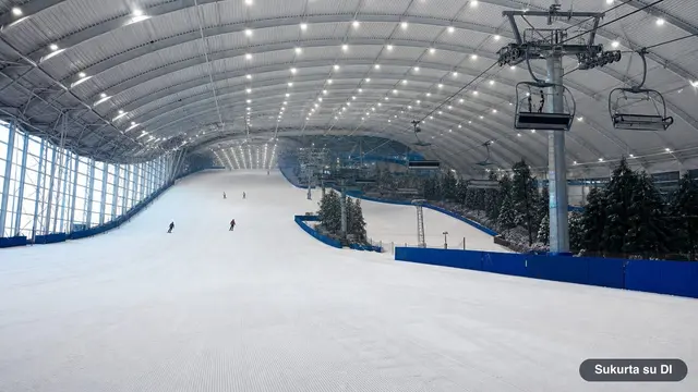 Snow Arena