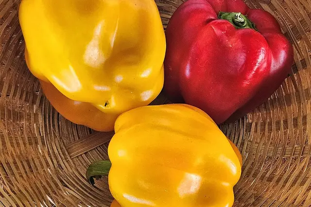 Vitaminas C: kiek reikia per parą, kur jo daugiausia ir ar jis tikrai apsaugo nuo peršalimo