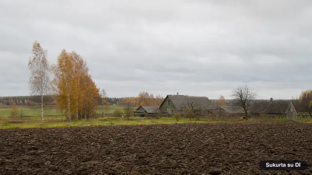 Rudeniškas kaimo žemės sklypas su ariamais laukais ir sodyba tolumoje