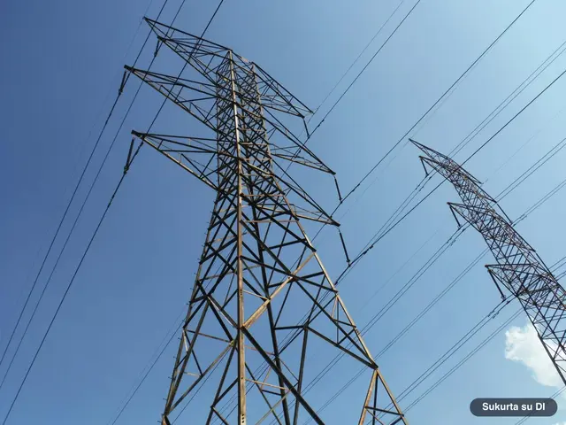 Vėjas numušė elektros kainas: Lietuvoje jos krito 16 proc.