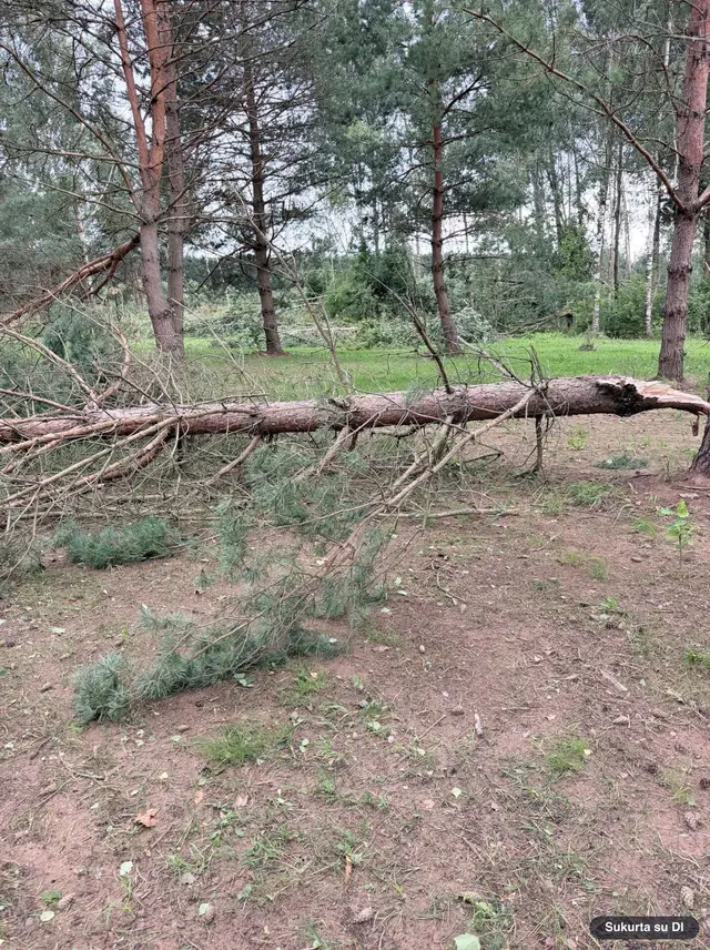 Audros smūgis verslui: kai kurios įmonės be elektros liko beveik savaitei
