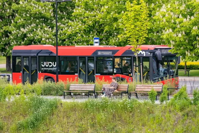 Pakilus PVM, brangsta kelionės viešuoju transportu