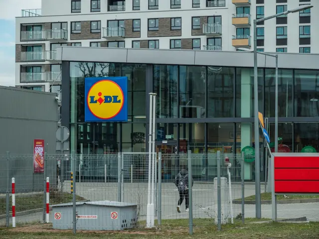 Po 20 valandos kaunietė „Lidl“ nebegalėjo atsiskaityti grynaisiais: bendrovė pateikė savo versiją