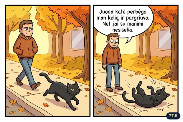 Juoda katė perbėgo man kelią ir pargriuvo. Net jai su manimi nesiseka.