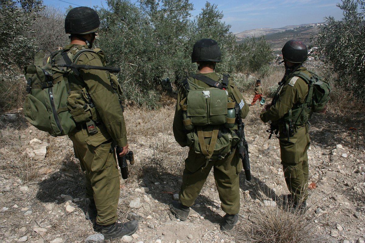 Palestiniečiai renka alyvuogių derlių Kafr Kadumo kaime Vakarų Krante