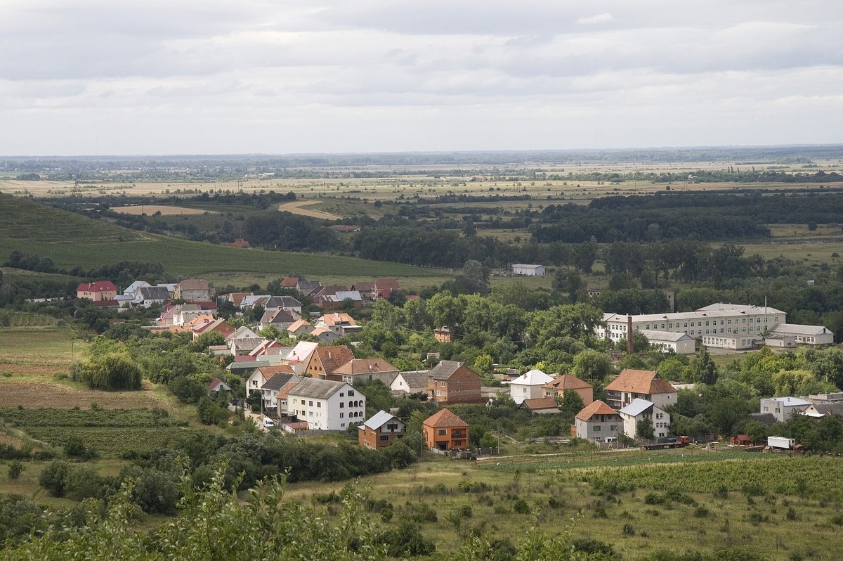 Berehovės miesto Užkarpatėje panorama su raudonais stogais ir bažnyčių bokštais